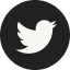 X icon